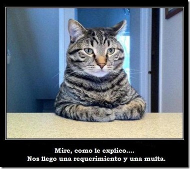 nos_llego_multa_requerimiento_gato